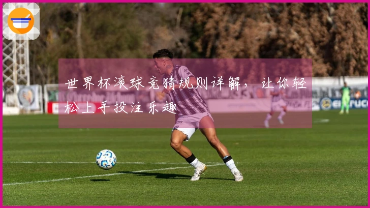 世界杯滚球竞猜规则详解，让你轻松上手投注乐趣