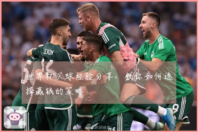 世界杯买球经验分享，教你如何选择赢钱的策略