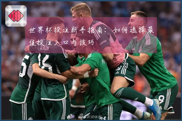 世界杯投注新手指南：如何选择最佳投注入口与技巧