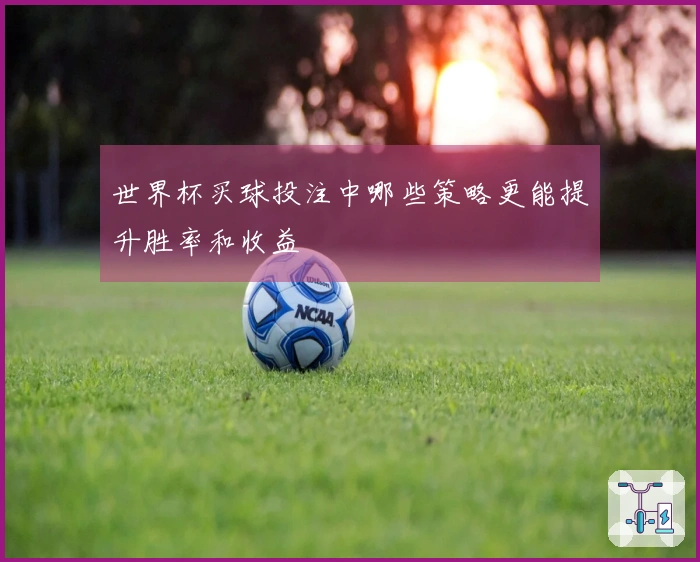 世界杯买球投注中哪些策略更能提升胜率和收益