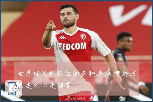 世界杯买球投注的多种选择 哪种方式更省心更划算