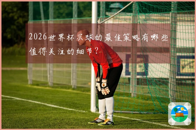 2026世界杯买球的最佳策略有哪些值得关注的细节？