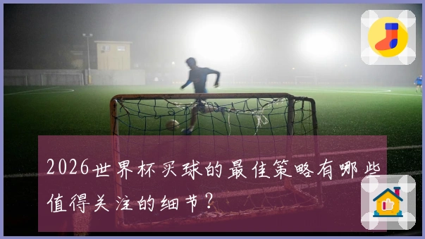 2026世界杯买球的最佳策略有哪些值得关注的细节？